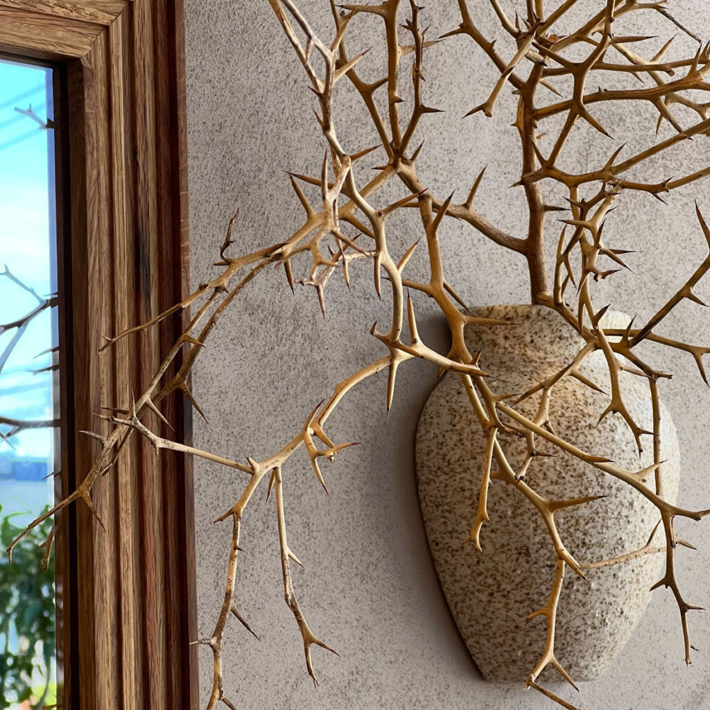 notashop ノタショップ NOTA＆design WALL POT 花瓶 NOTA＆design | zuiun onlineshop